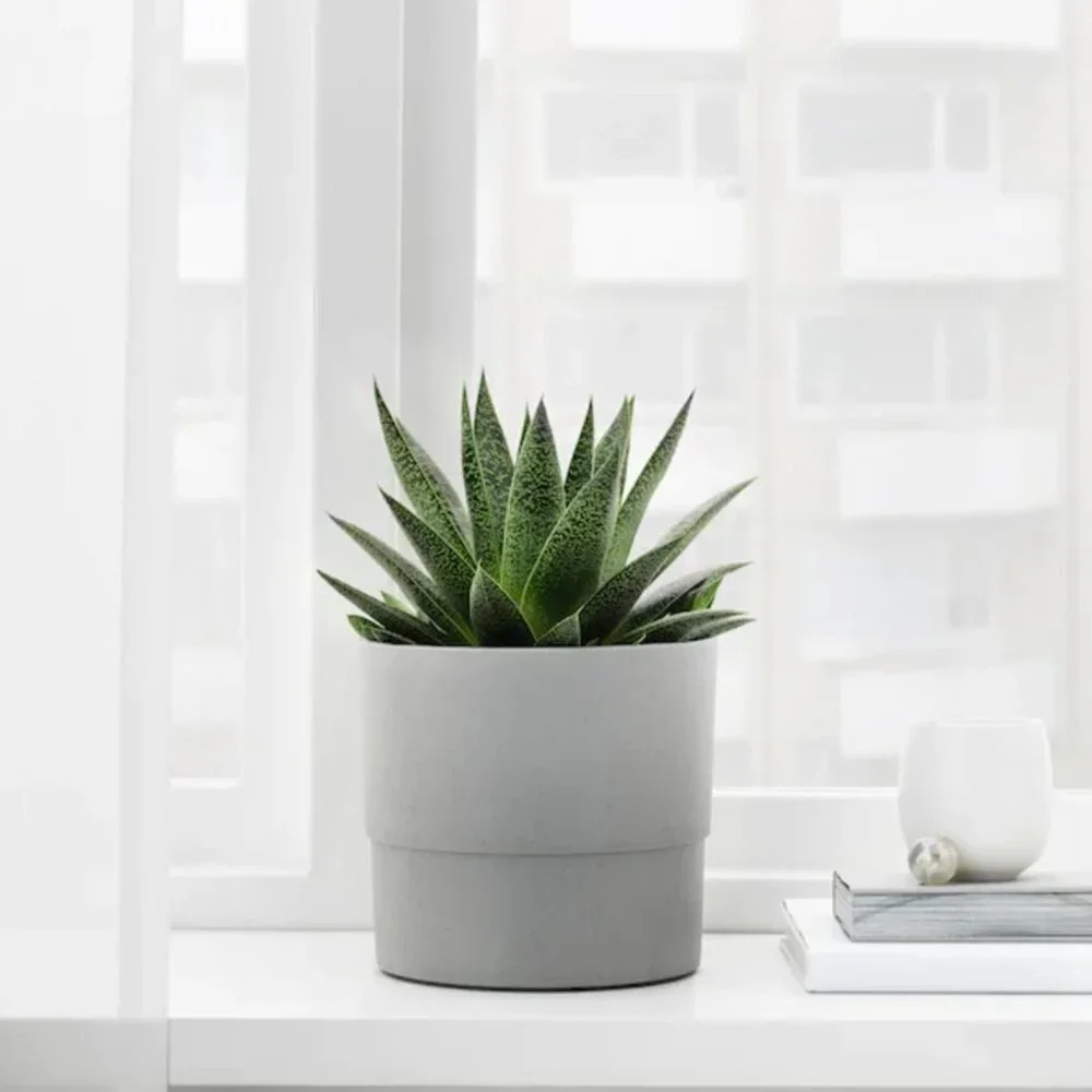 Ikea Nypon Gray Plant Pot